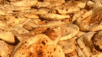 صادرات ضخمة.. رغيف الخبز المصري يحقق عوائد تتجاوز 400 مليون دولار سنوياً